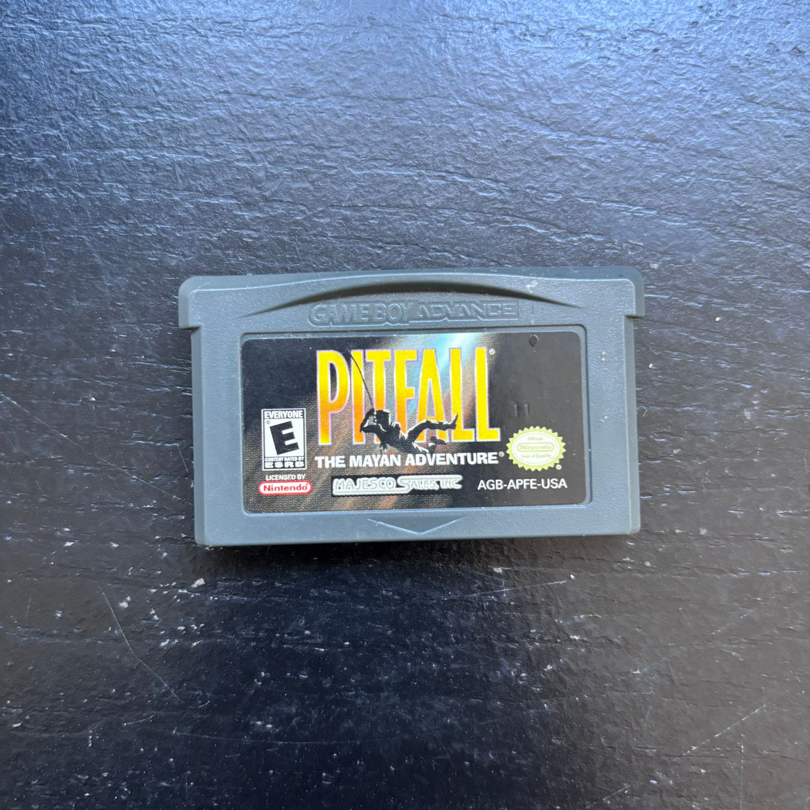 Pitfall: The Mayan Adventure