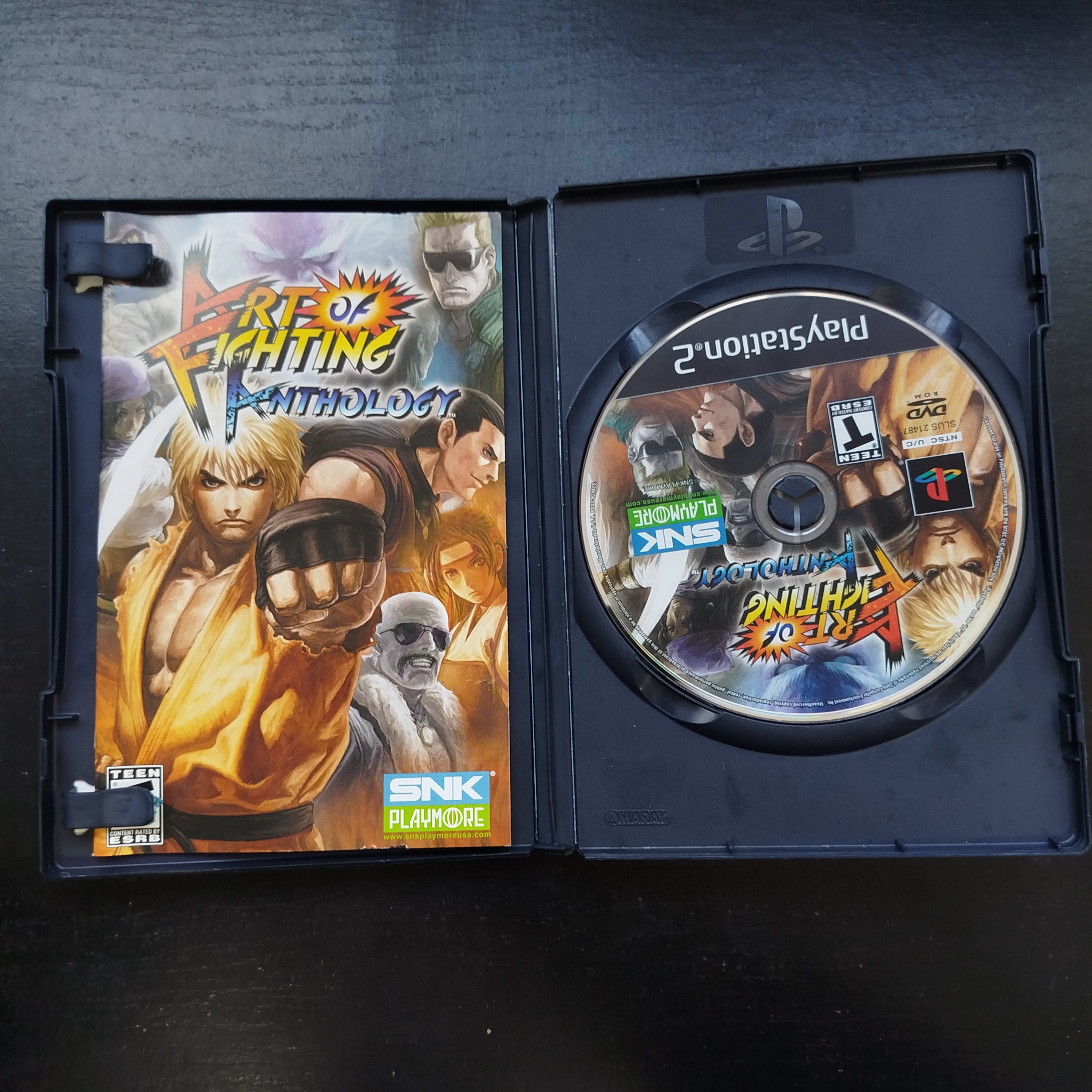 Art of Fighting Anthology