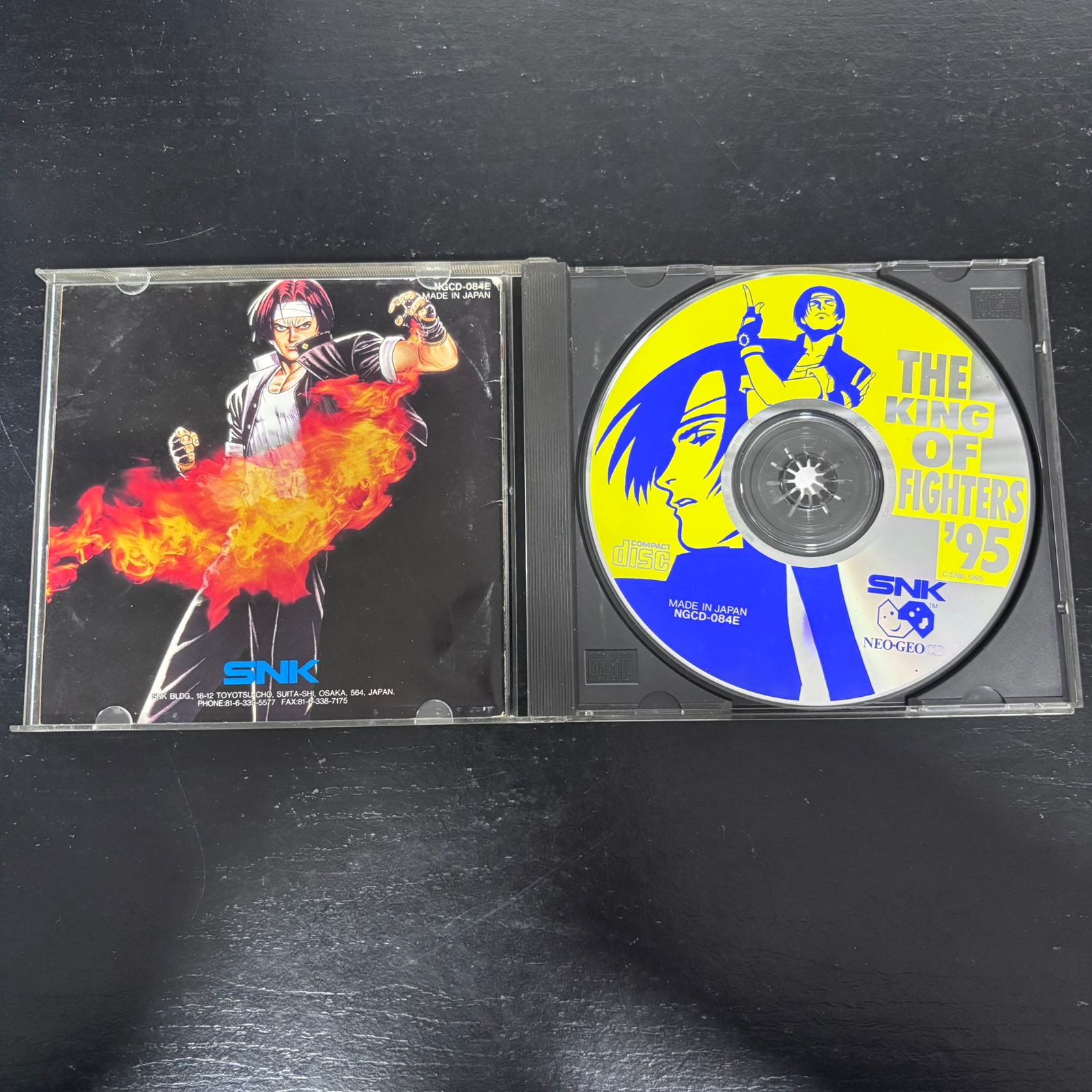 The King of Fighters '95
