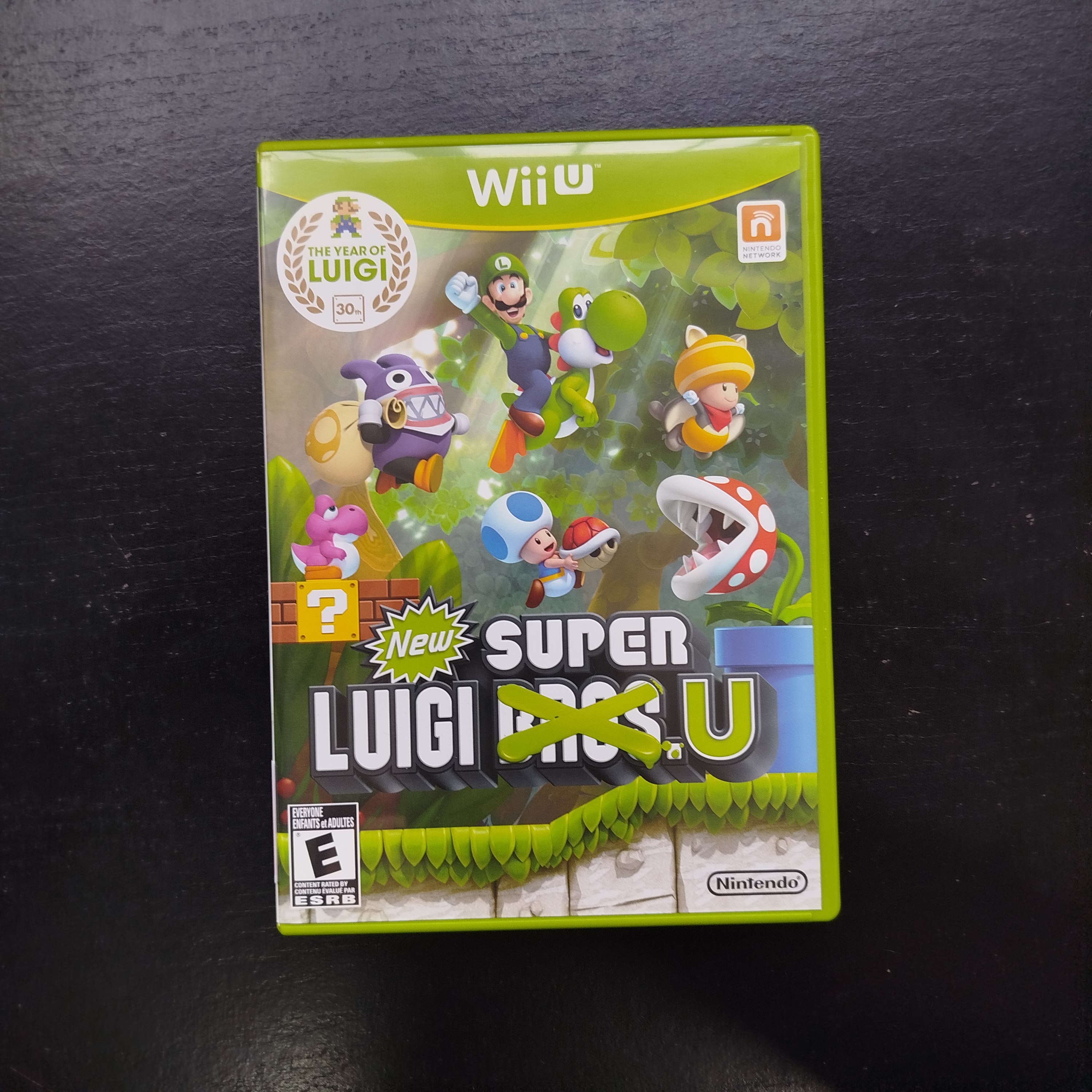 New Super Luigi U